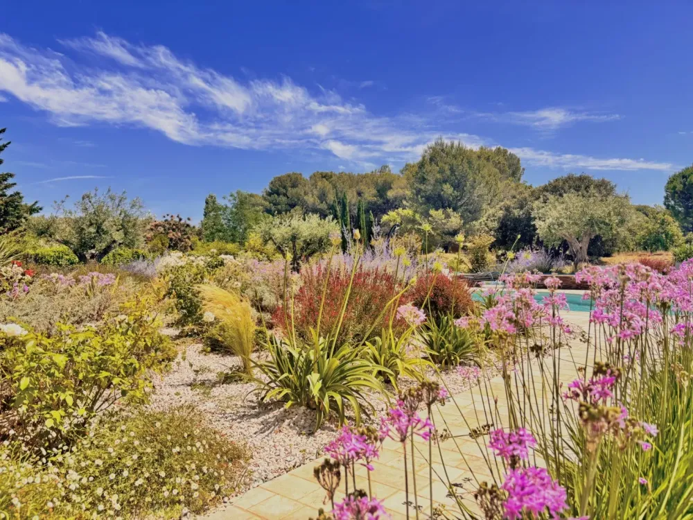 piscine-forme-libre-1