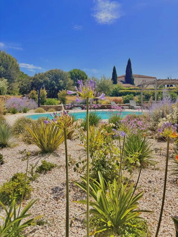 piscine-forme-libre-5