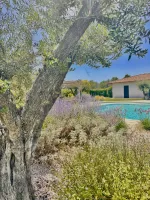 piscine-forme-libre-6