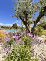 piscine-forme-libre-8