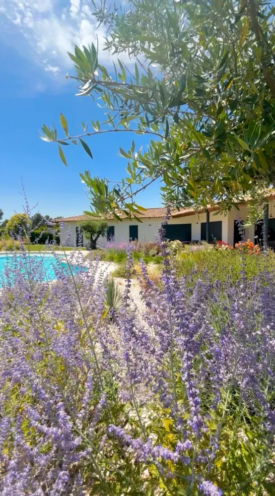 piscine-forme-libre-13