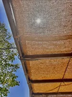 piscine-ombragé-2webp