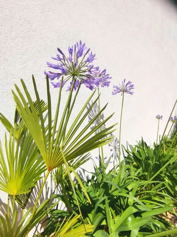 olivier-aix-provence-4