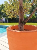 olivier-aix-provence-7