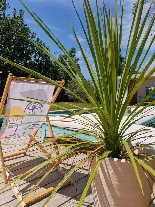 olivier-aix-provence-8