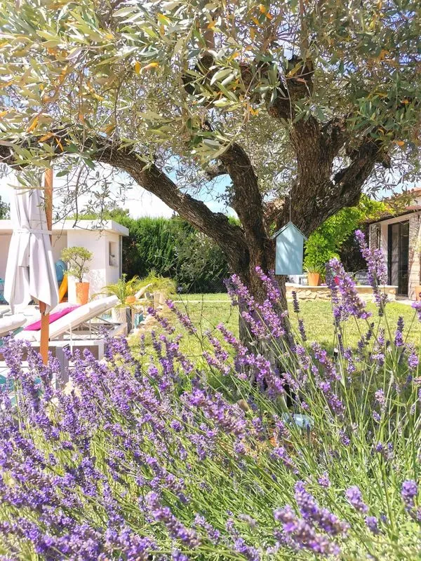 olivier-aix-provence-10