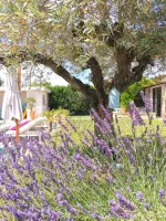 olivier-aix-provence-10