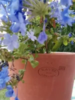 olivier-aix-provence-11