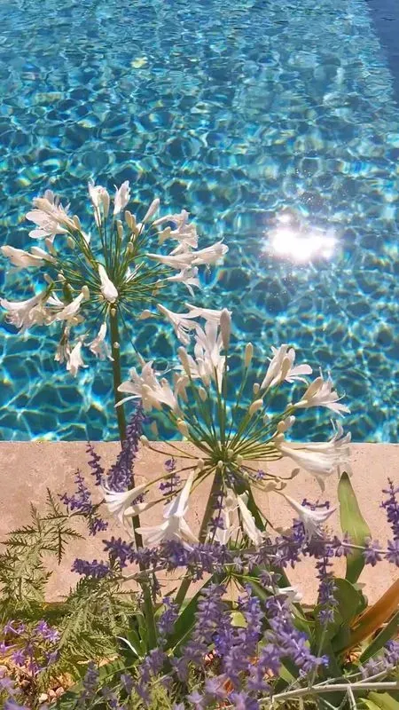 olivier-aix-provence-15