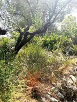 prive-aix-en-provence-2