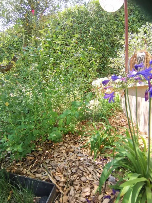 prive-aix-en-provence-27