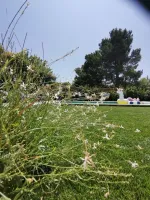 prive-aix-en-provence-29