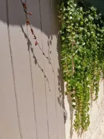 prive-aix-en-provence-31