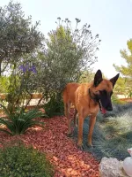 prive-le-tholonet-10