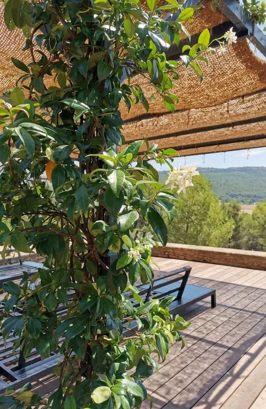 prive-le-tholonet-11